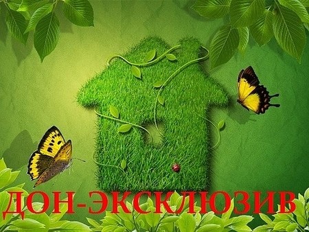 Дон-Эксклюзив