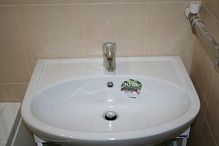 Установленный Тюльпан