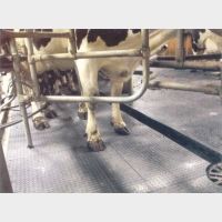 тваринні ферми &mdash; Роана