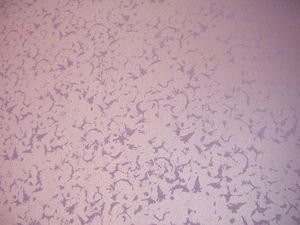 Декоративная штукатурка - эффекты &mdash; Ойдос