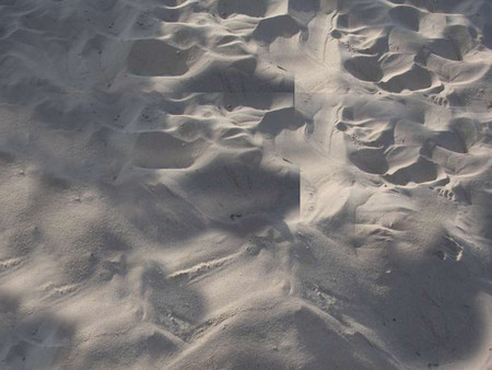 Песок речной намывной