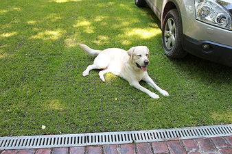 Standartpark — Стандарт Парк Standartpark — Стандарт Парк