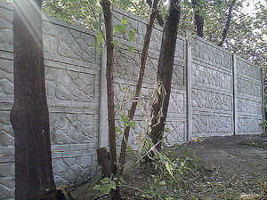 Еврозабор `бут` &mdash; Стасевич