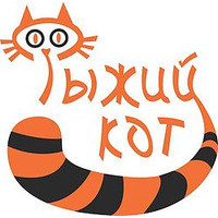 Рыжий Кот