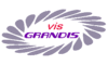 Логотип компании ВИС ГРАНДИС
